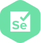 Selenium Locators
