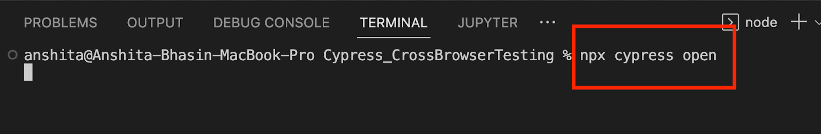 npx-cypress npx-cypress