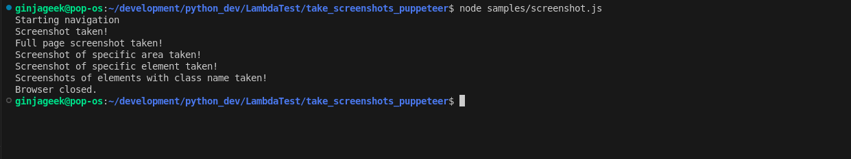 Puppteer screenshot local