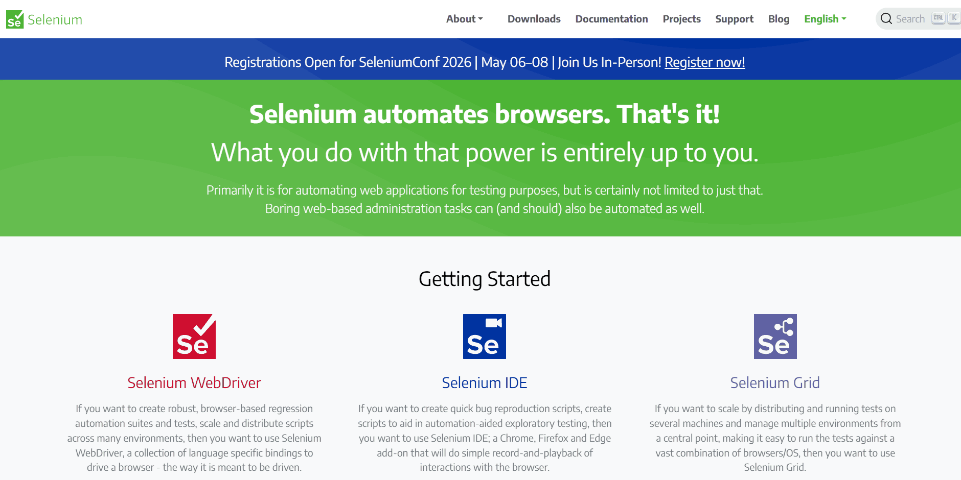 Selenium Grid screenshot showing distributed test execution infrastructure