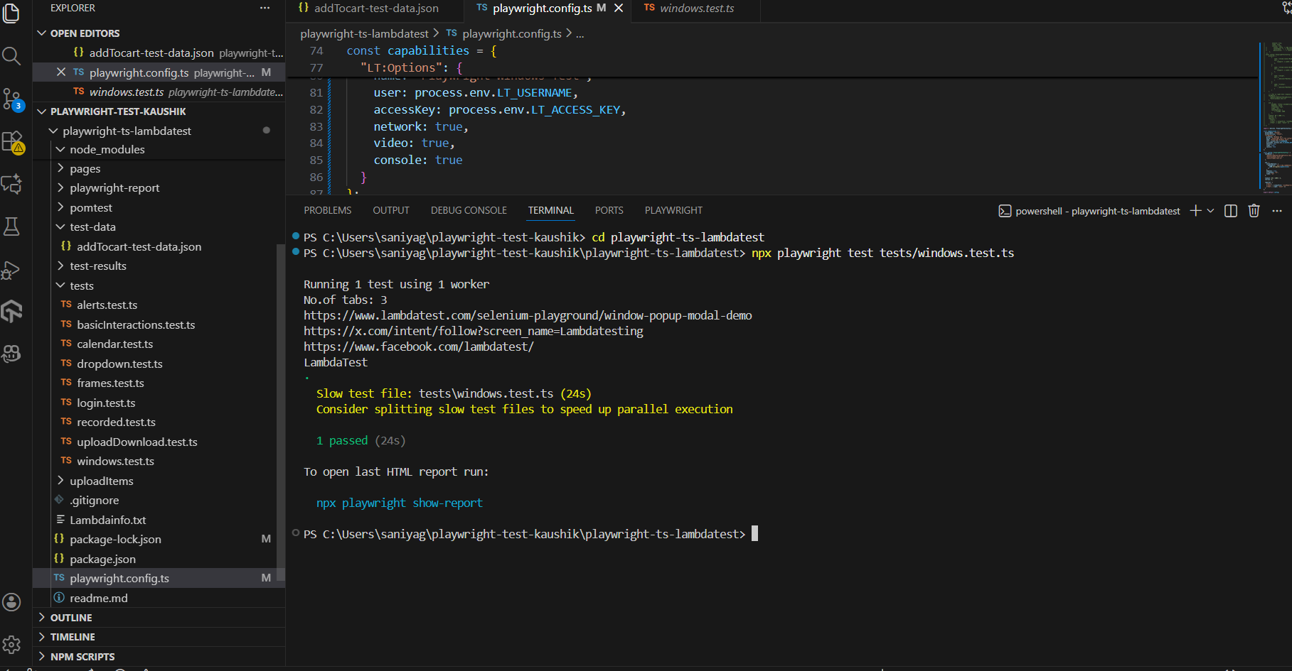 local playwright test