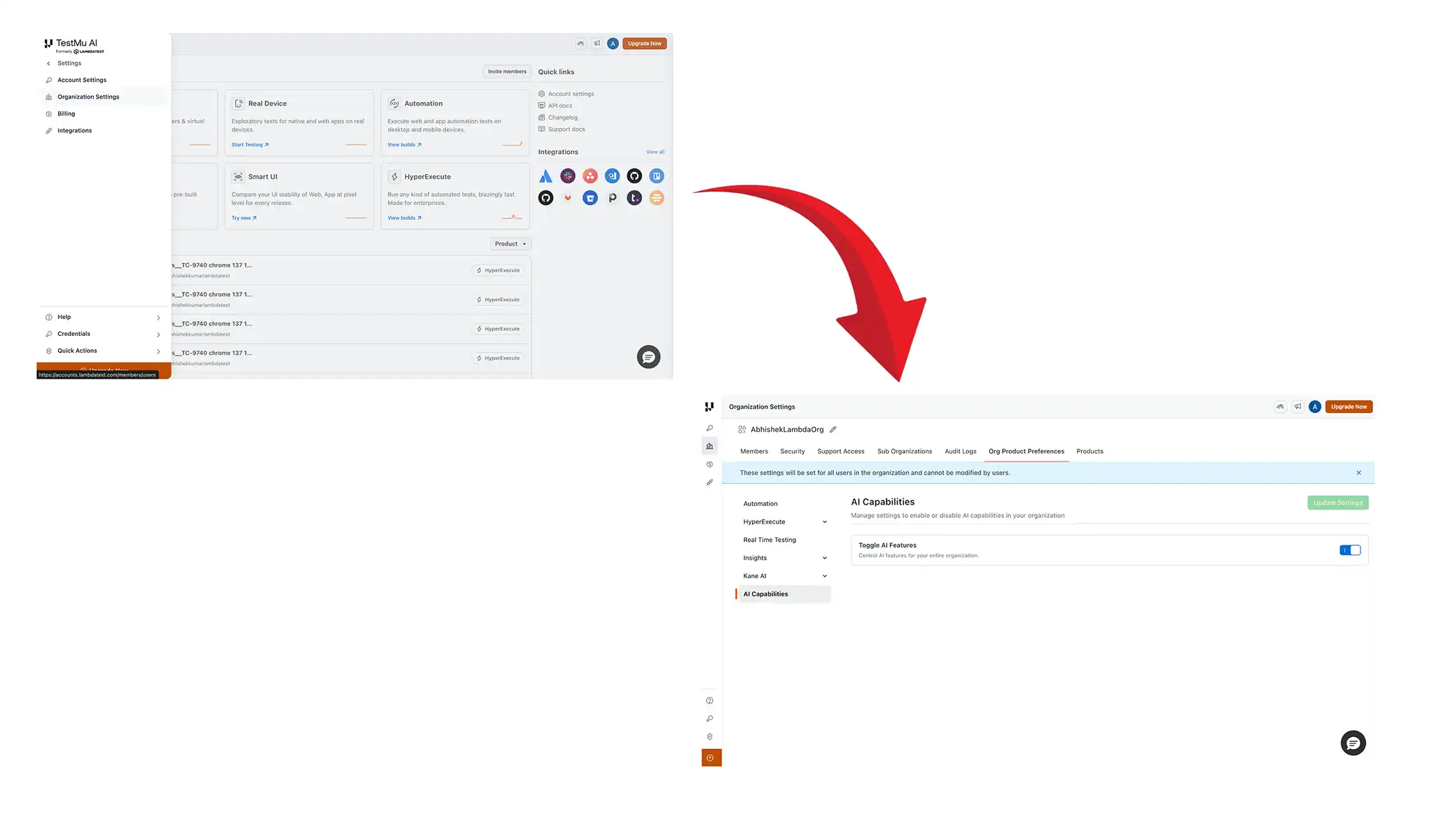 Admin controls for AI capabilities