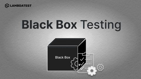 What is Black Box Testing: Techniques, and Best Practices