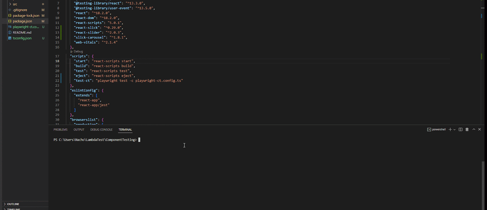 npm start page npm start page