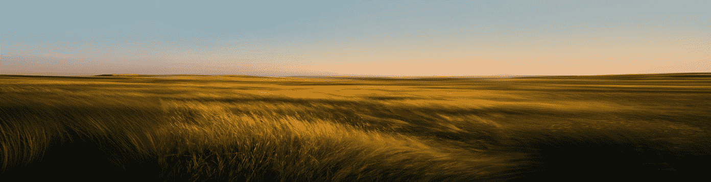 Enhance Test Management background