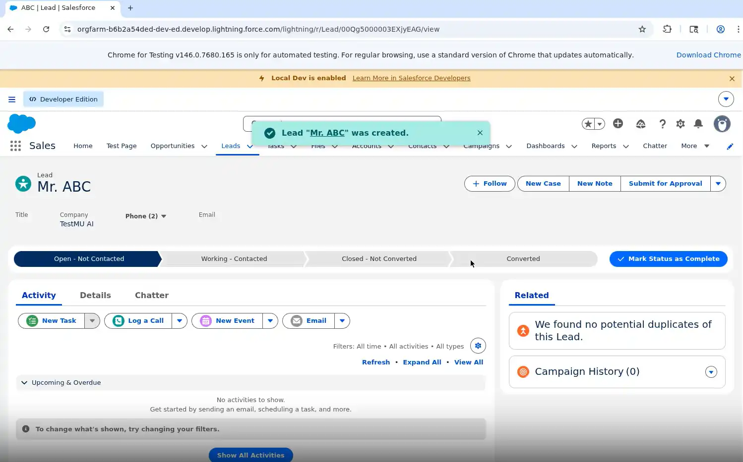 Salesforce Selenium local test result Salesforce Selenium local test result