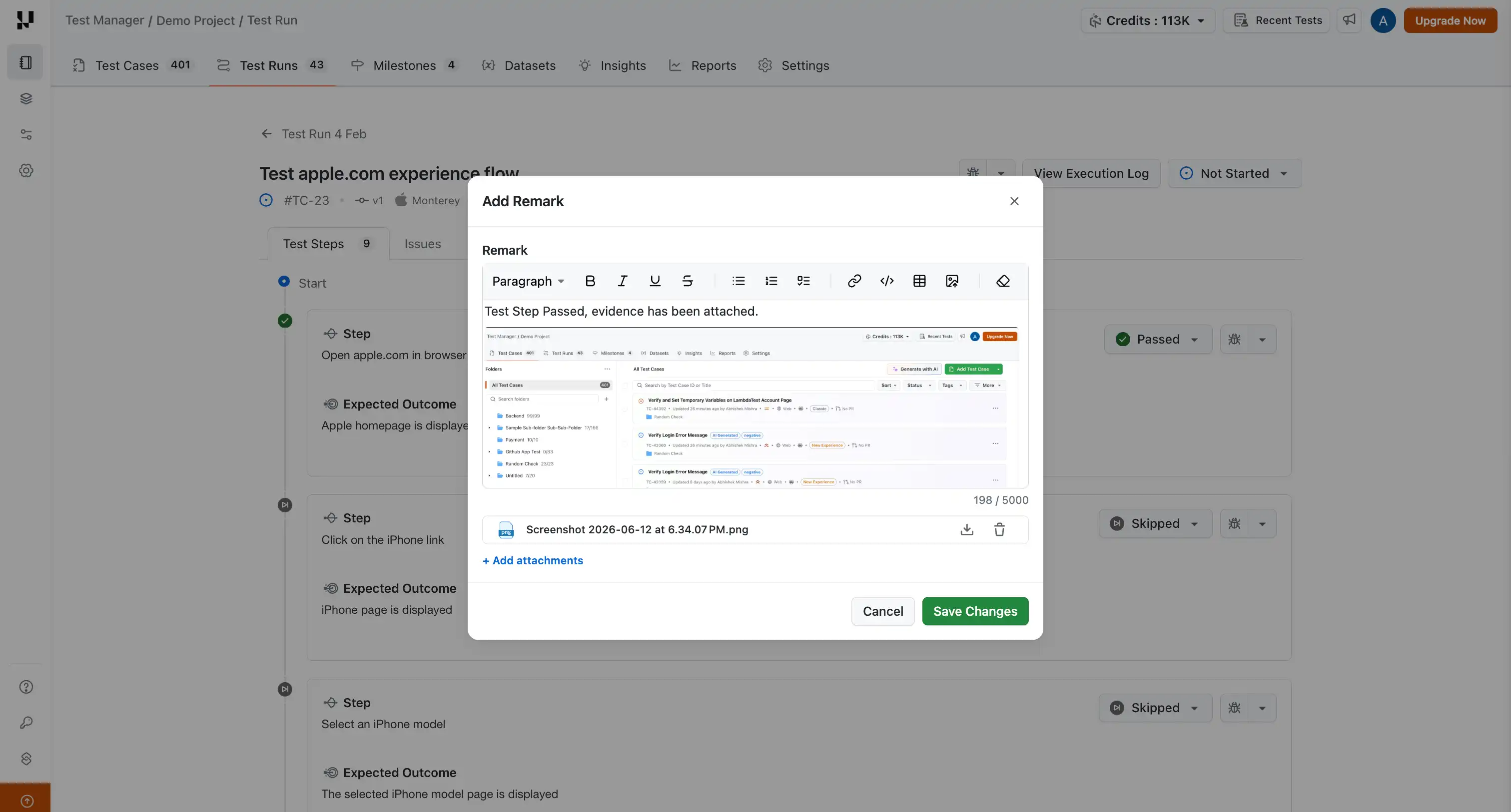 Add rich text and pasted images to test remarks