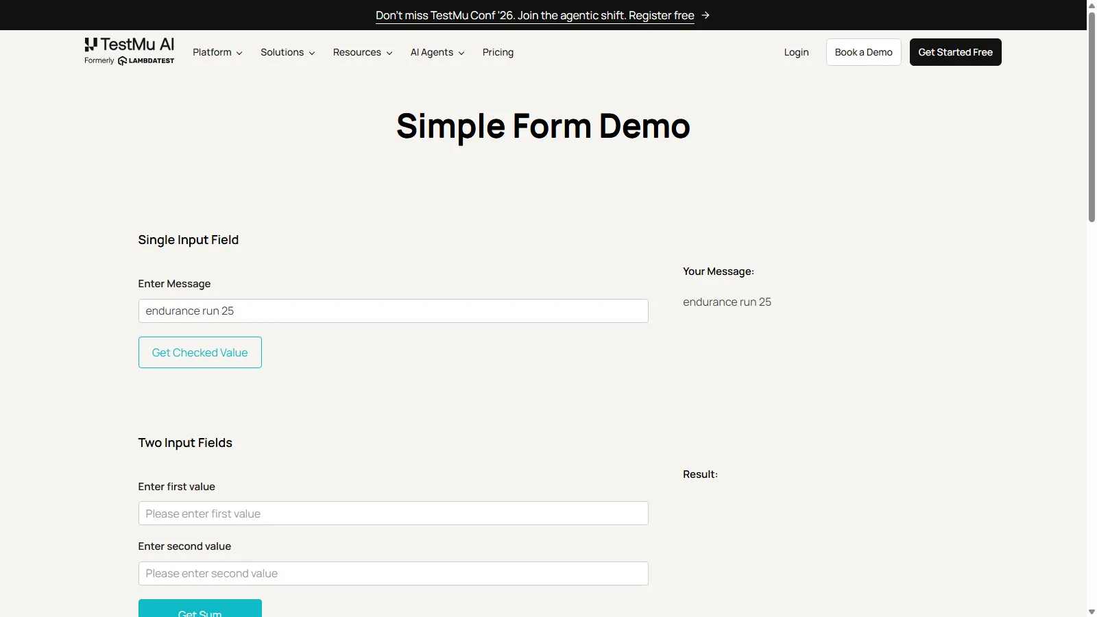 The form under test on iteration 25 of the endurance run Simple Form Demo page on the Selenium Playground showing the message endurance run 25 submitted and rendered back as Your Message
