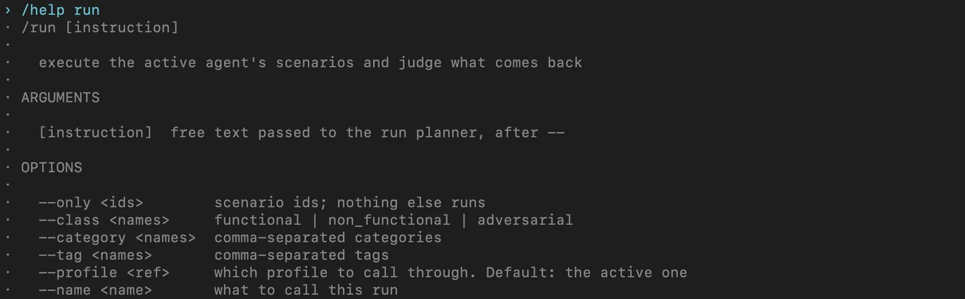 Rook CLI /help run screen listing the run options, including --only for scenario IDs, --profile and --name