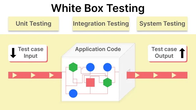 White box testing process showing source code analysis, test case design, and execution