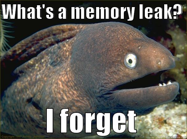 memory leakage