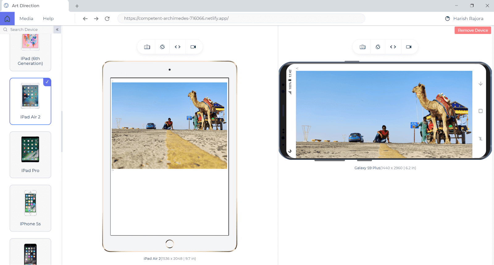 Picture Element and Art Direction Picture Element and Art Direction
