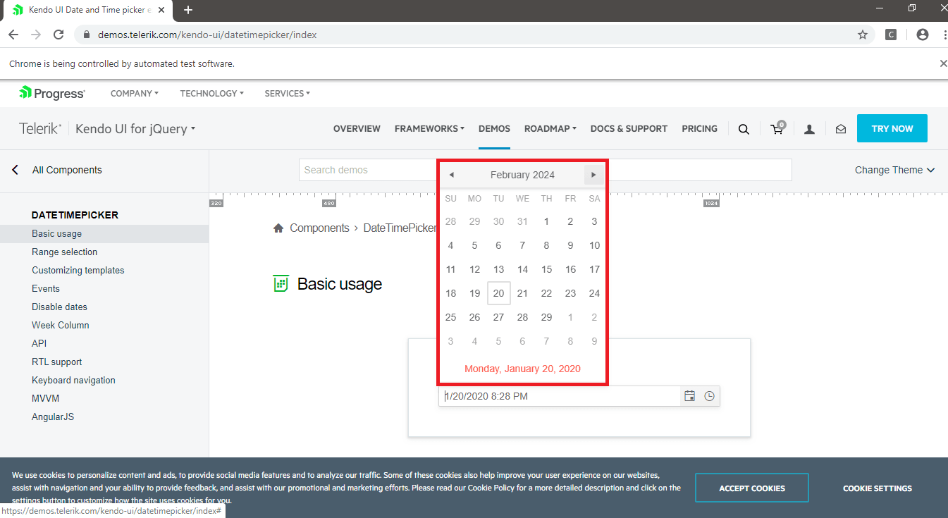 browser snapshot browser snapshot