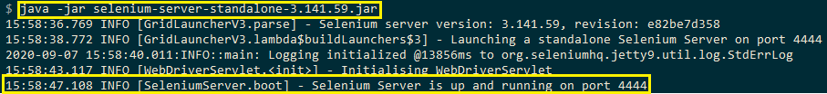 Selenium server