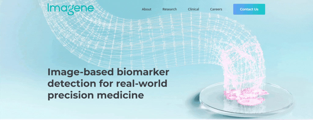 Oracle Testing-Imagene AI Homepage Oracle Testing-Imagene AI Homepage