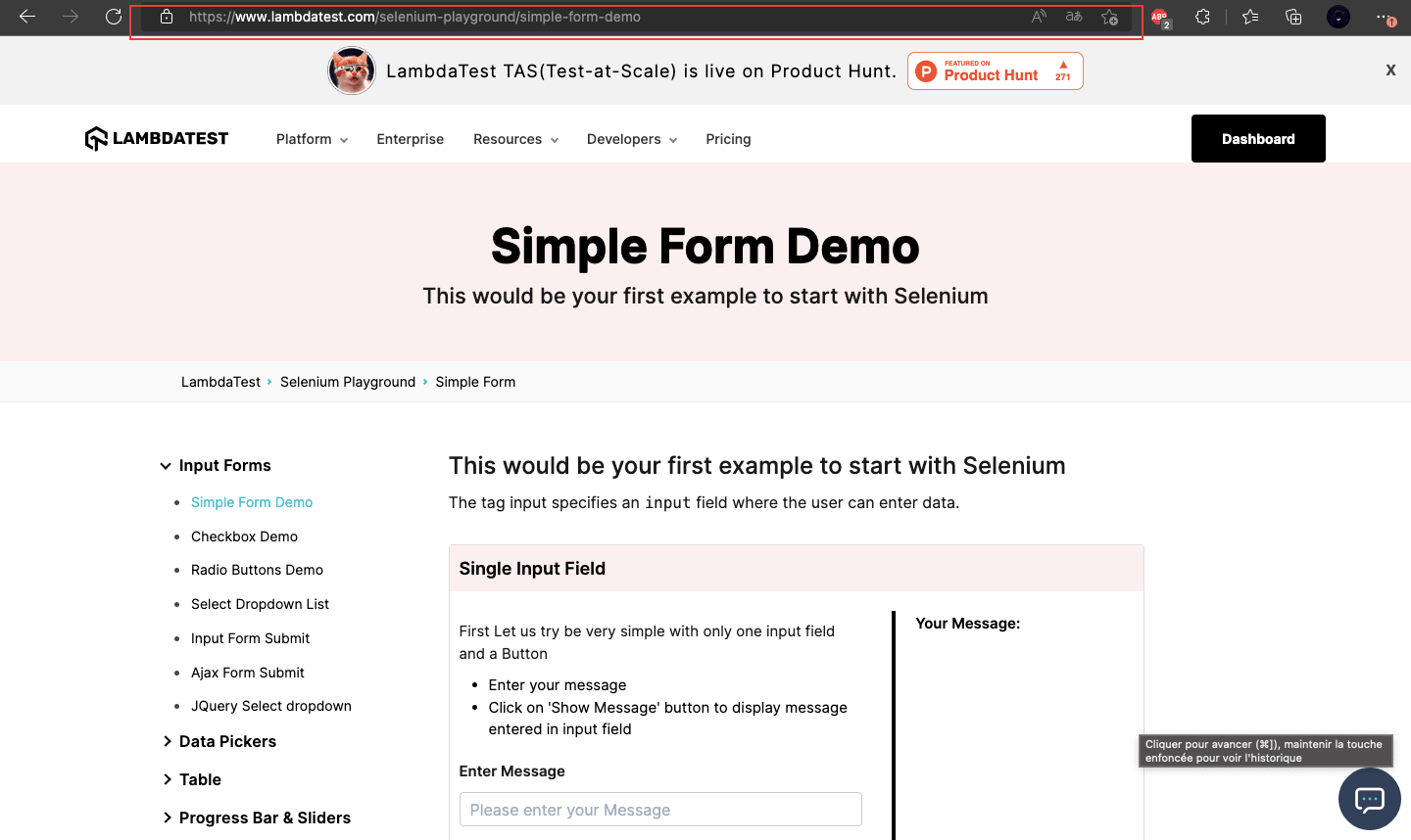 Simple Form Demo