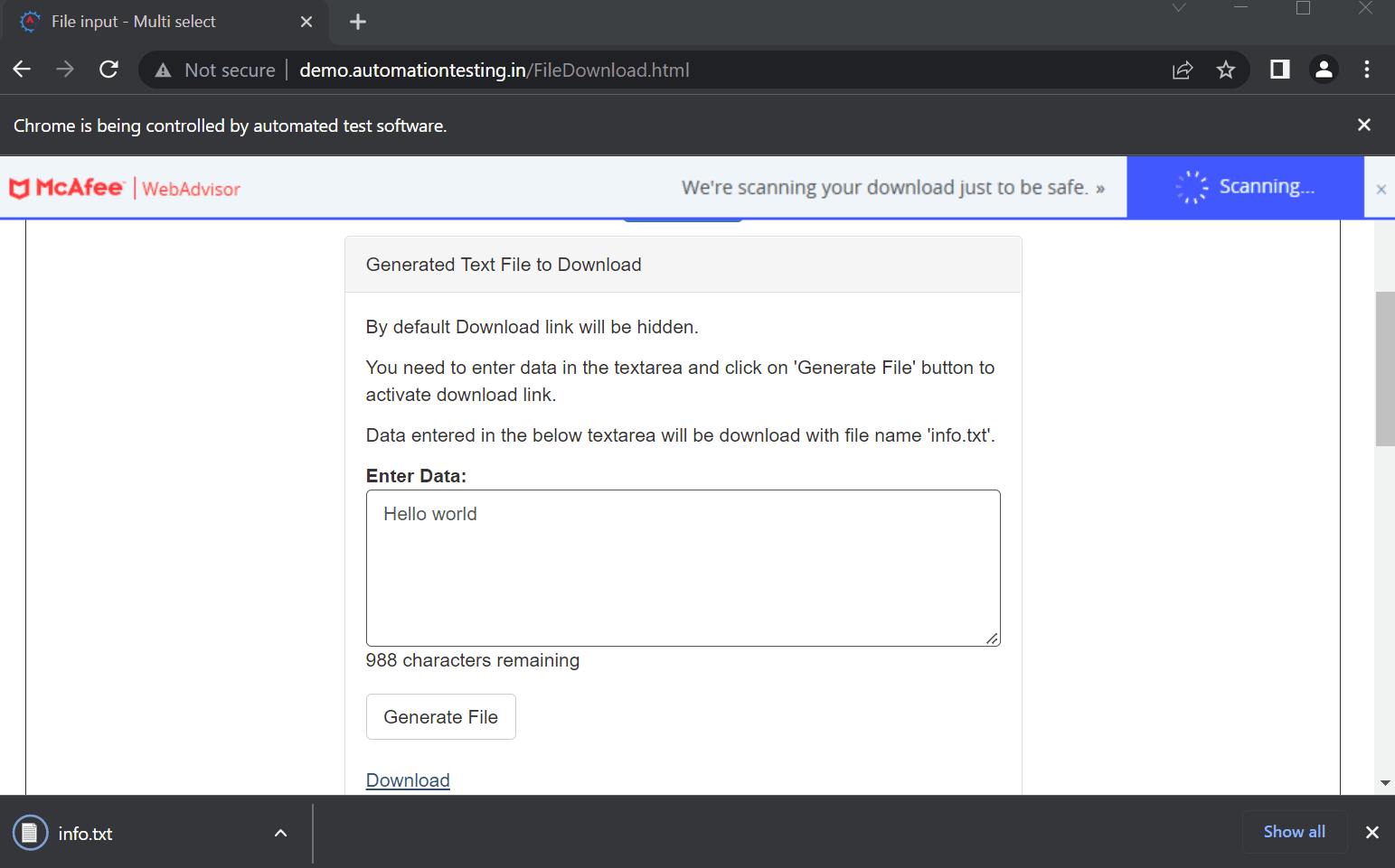 Chrome browser is instantiated 