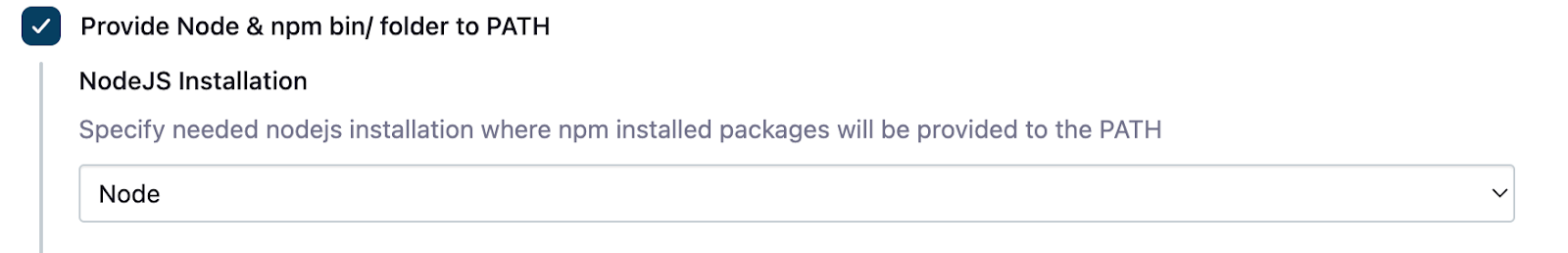 node_npm_path_checkbox node_npm_path_checkbox