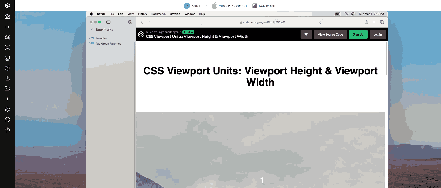 Viewport Units