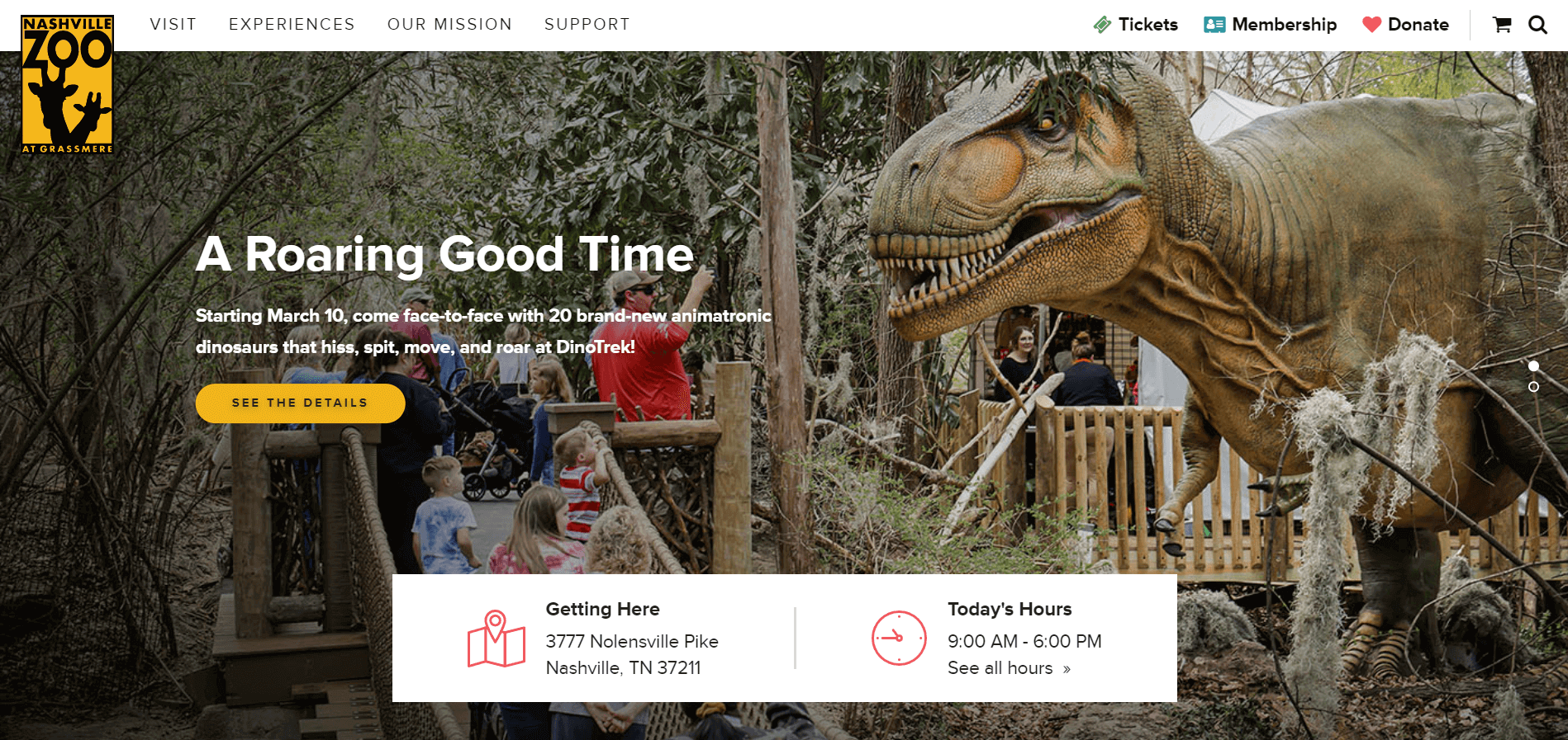 Complex Website Navigation