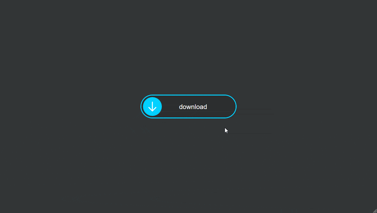 CSS Animation CSS Animation