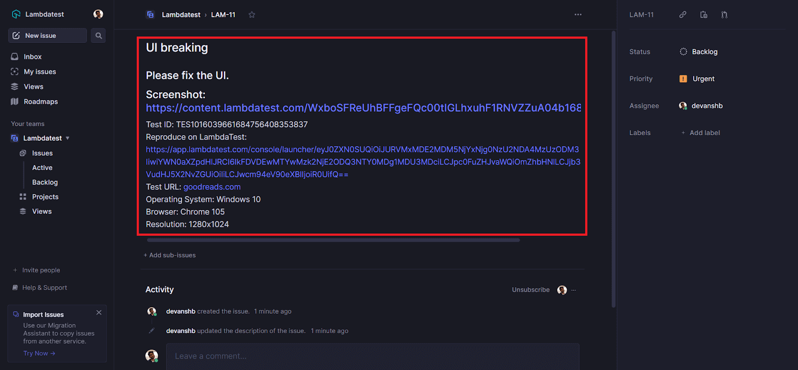 testing and bug management