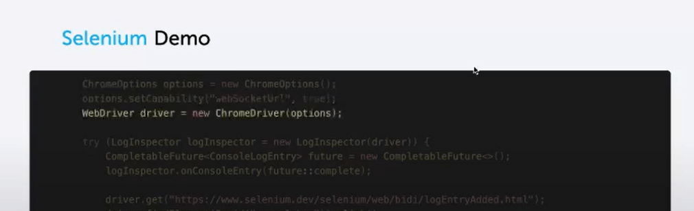 developer panel developer panel