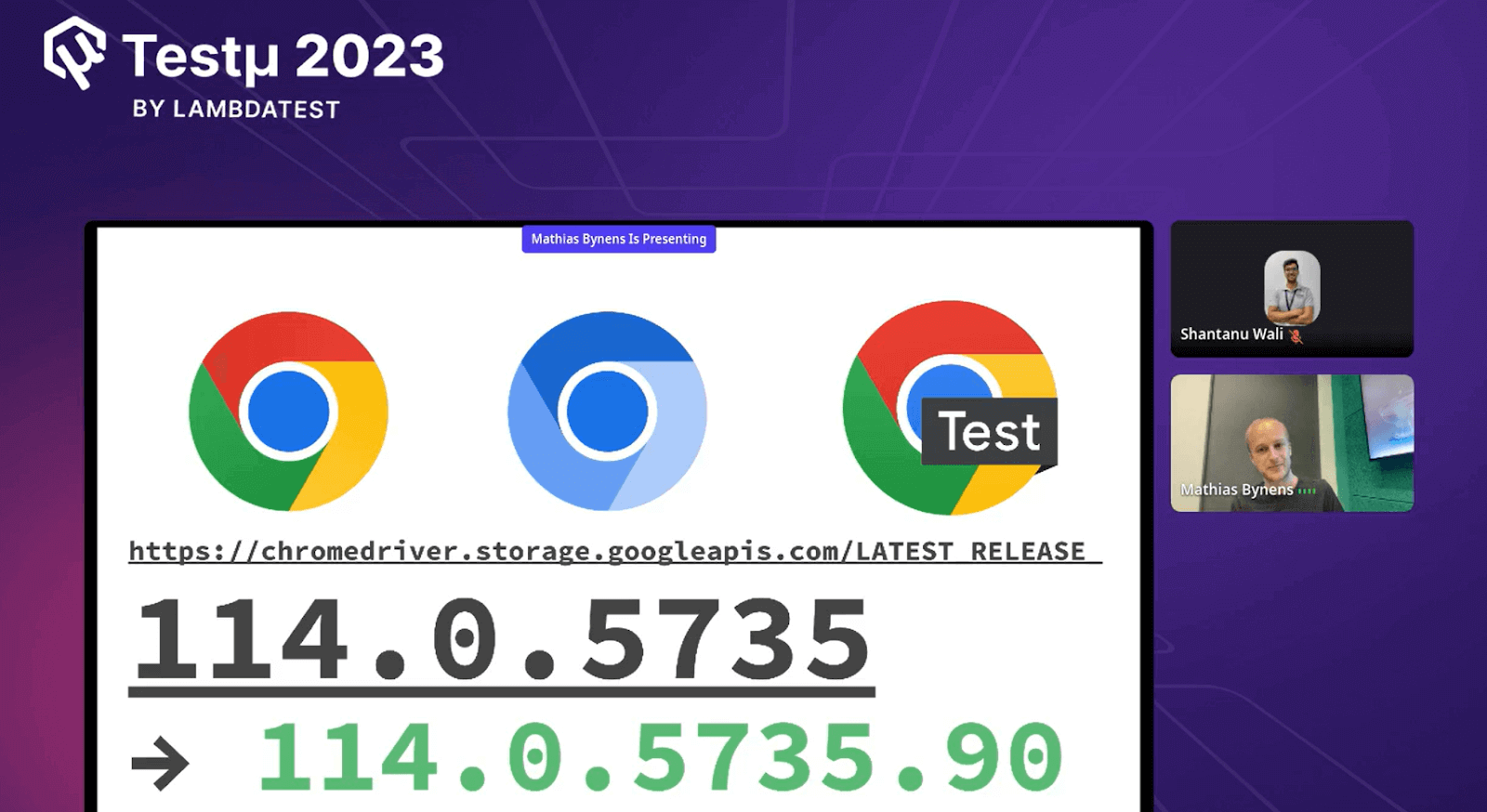 Getting a browser driver binary