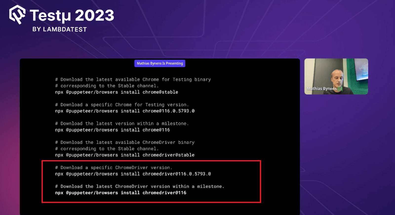 Puppeteer browsers CLI