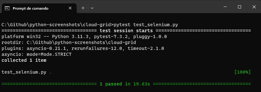 pytest test_selenium py