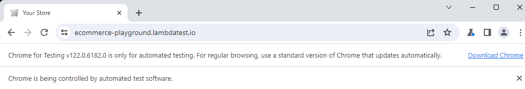 Test Execution (Chrome – dev[v122.0.6182.0])