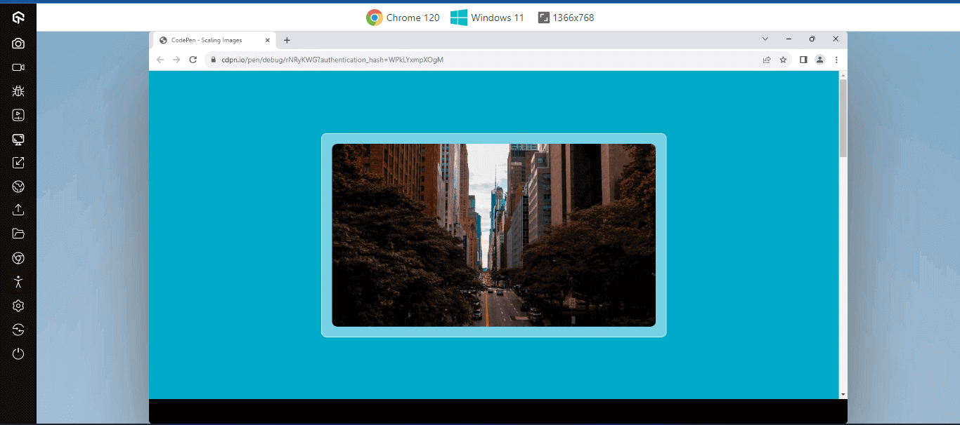 Scaling Images Scaling Images