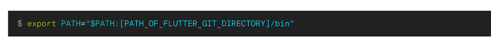 Setting the Environment variable for Flutter
