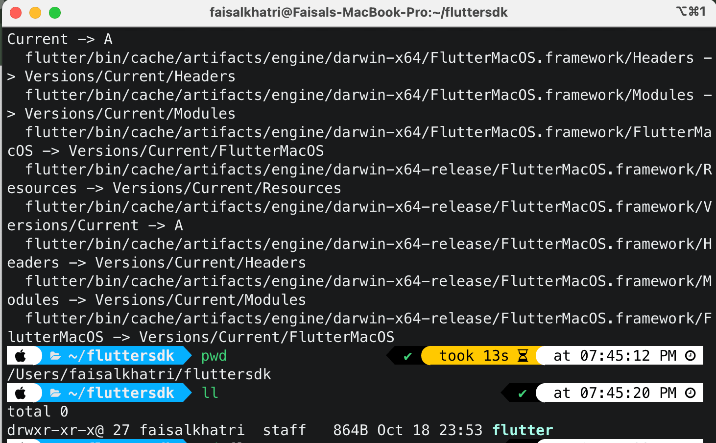 extraction of the Flutter SDK files