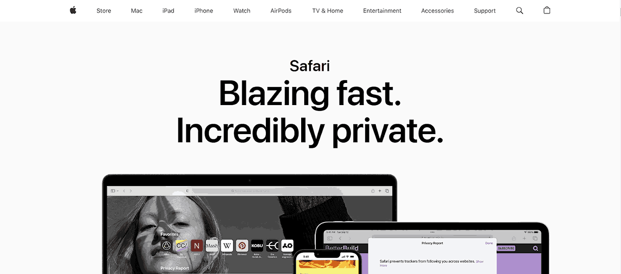 Safari browser Safari browser