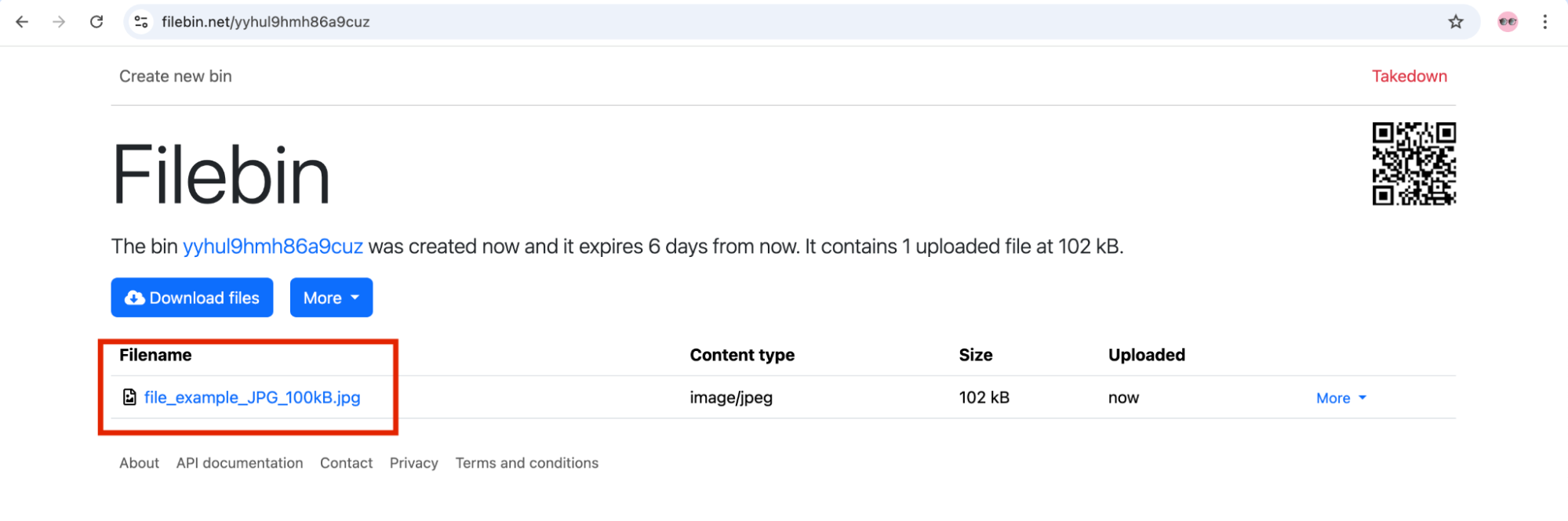 filebin test scenario