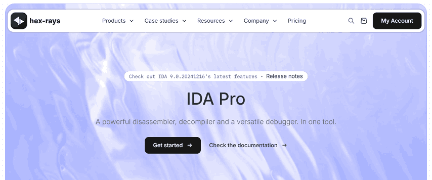 IDA Pro