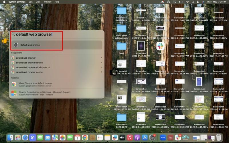 safari as default browser tutorial
