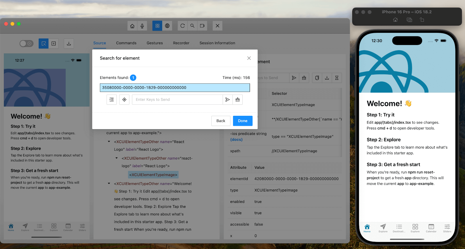 attributes are being mapped in the iOS app using Appium Inspector
