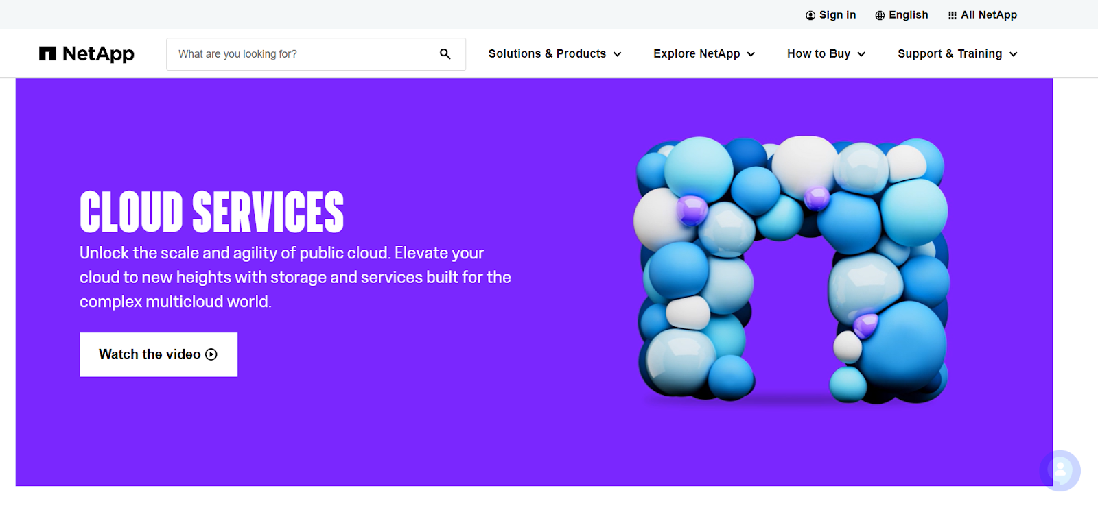 Netapp-cloud-service-home-page Netapp-cloud-service-home-page