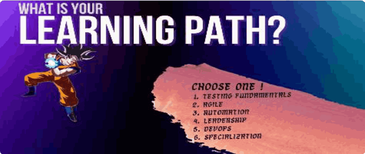 Learning path